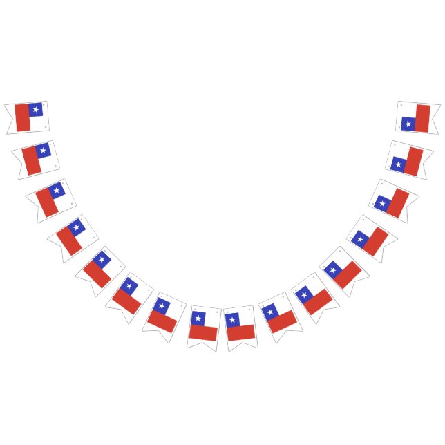Emblème du drapeau du Chili (Tout)