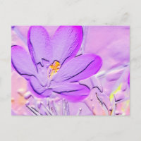 Embossed Lila Crocus