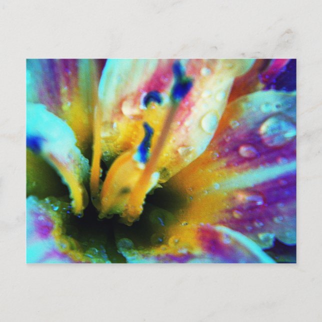 Embossed Lily Postcard Postkarte (Vorderseite)