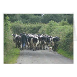 Embouteillage !