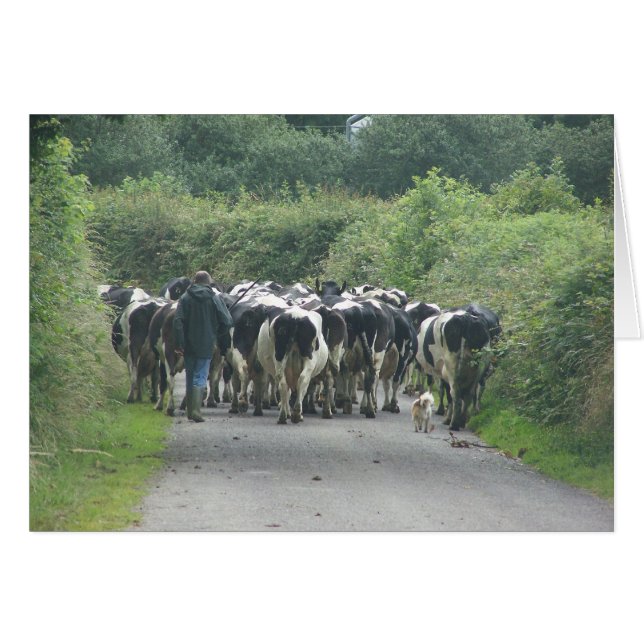 Embouteillage ! (Devant Horizontal)