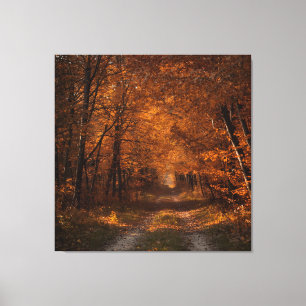 Embrace im Herbst - Ruhiger Waldweg Kunst P Leinwanddruck