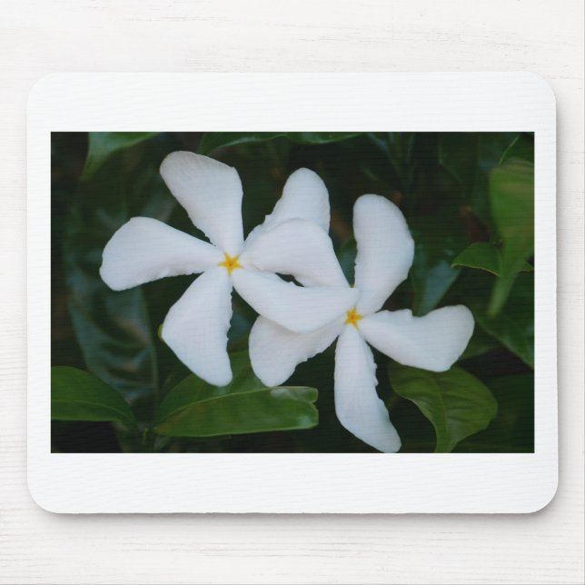 Embrace.JPG Mousepad (Vorne)