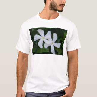 Embrace.JPG T-Shirt