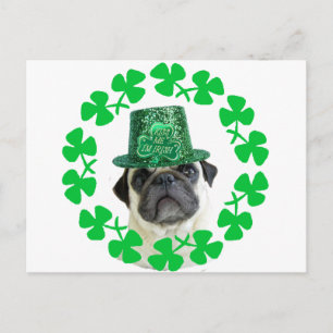 Embrasse-moi je suis irlandais carlin carte postal