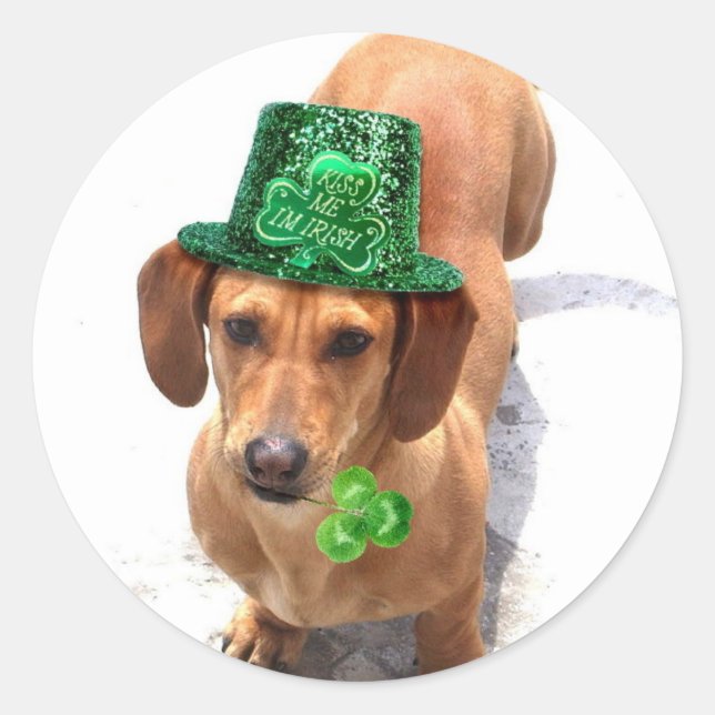 Embrasse-moi Je suis Irlandais Dachshund stickers (Devant)