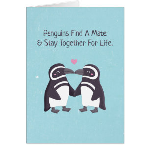 Embrasser Des Pingouins, Drôle Tu Es Mon Mari De P