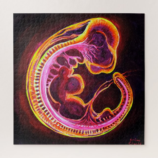 Embryo (Vertikal)
