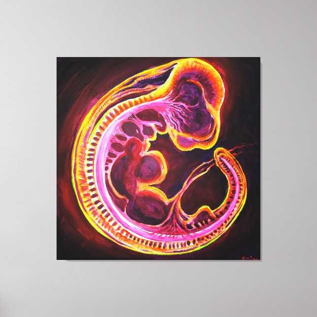 Embryo Leinwanddruck (Vorderseite)