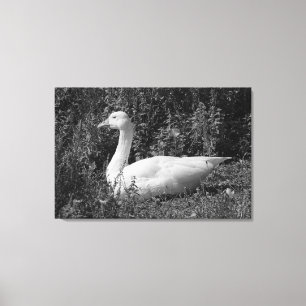 Emder Gans Leinwanddruck