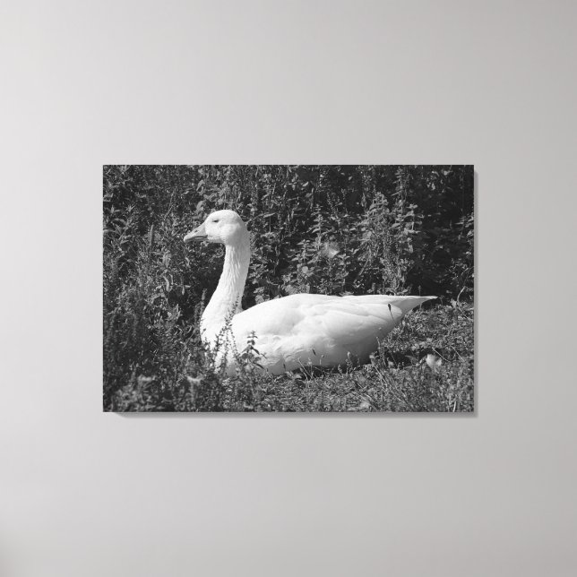Emder Gans Leinwanddruck (Vorderseite)