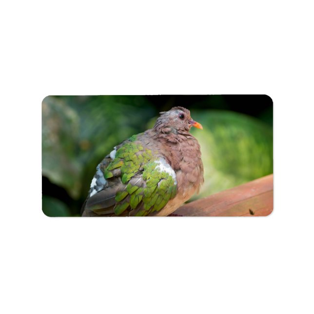 Emerald Dove Profil und Perch Adressaufkleber (Vorne)