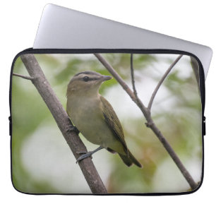 Emerald Elegance: Rot-Mit Augen Vireo Kanadisches Laptopschutzhülle