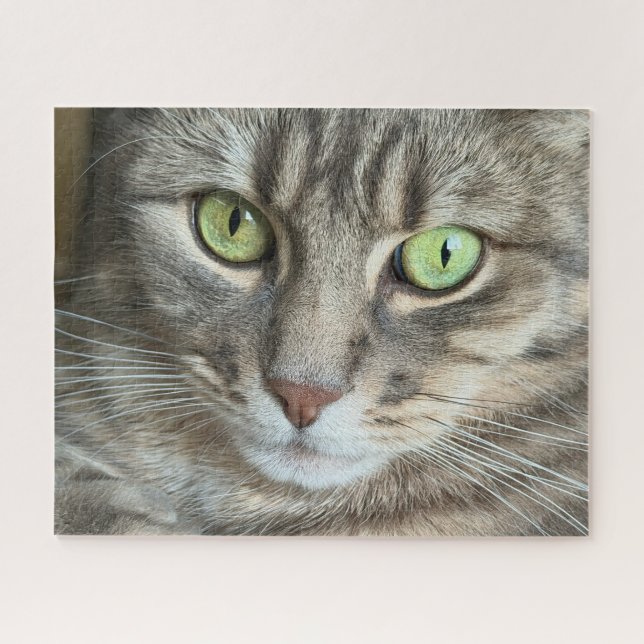 Emerald Eyes – Portrait of a Green-Eyed Cat (Horizontal)