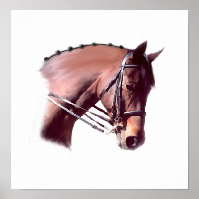 Emerald-Glen Houdini Poster (Vorne)