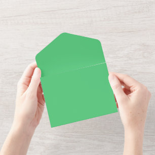 Emerald-Hex-Code 50c878 All In One Einladung