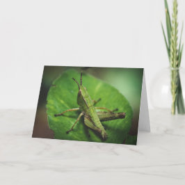 Emerald Majesty: Ein eleganter Grasshopper Karte