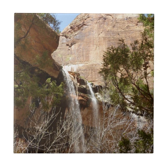Emerald Pool Falls I aus dem Zion National Park Fliese (Vorderseite)