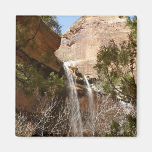 Emerald Pool Falls I aus dem Zion National Park Magnet