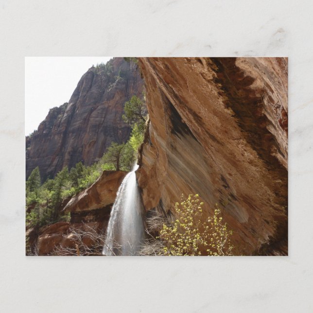 Emerald Pool Falls III von Zion National Park Postkarte (Vorderseite)