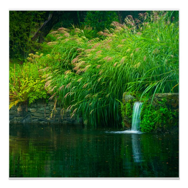 Emerald Stillness by the Garden Falls Poster (Vorderseite)