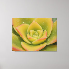 Emerald Succulent Macro Canvas Wall Art Print  Leinwanddruck