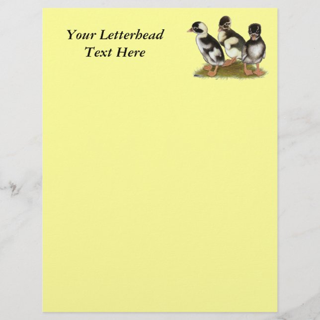 Emery Penciled Runner Ducklings (Vorderseite)