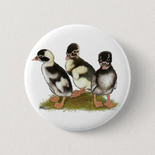 Emery Penciled Runner Ducklings Button