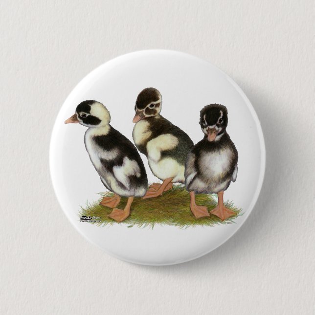 Emery Penciled Runner Ducklings Button (Vorderseite)