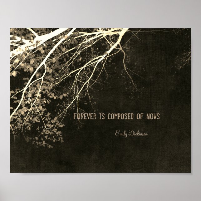 Emily Dickinson inspirierendes Naturposter Poster (Vorne)