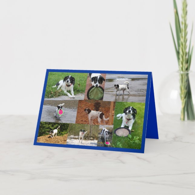 Emily-Karte Dankeskarte (Vorderseite)