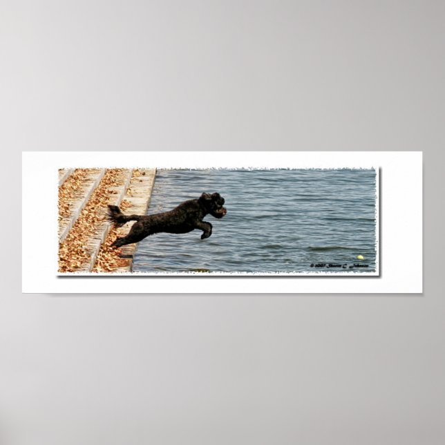 Emma, der portugiesische Wasserhund Poster (Vorne)