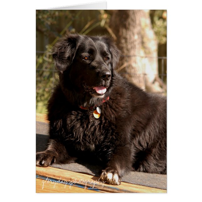 Emma, Glorydaysphotographie (Vorne)