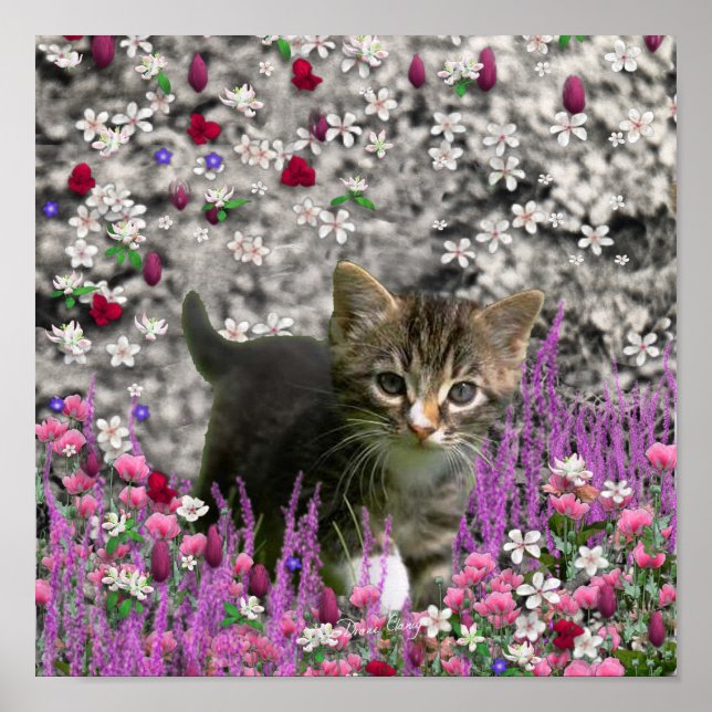 Emma in Blume I - Little Gray Kitty Cat Poster (Vorne)