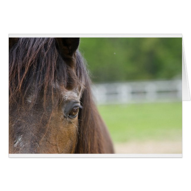 Emmas Auge (Vorderseite (Horizontal))