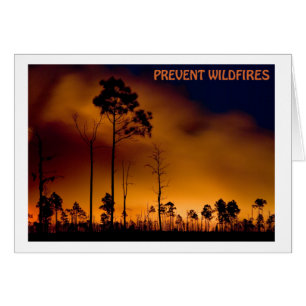 Empêchez le feu de forêt