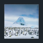 Emperor Penguin Colony Magnet<br><div class="desc">Dieses Foto besticht durch eine Kaiserpinguinkolonie mit gefrorenen Eisbergen als Kulisse.</div>