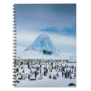Emperor Penguin Colony Notizblock