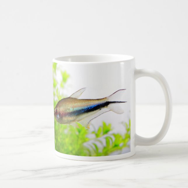 Emperor tetra kaffeetasse (Rechts)