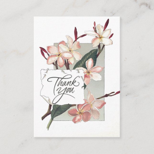 Empfehlung danken Ihnen Vintager rosa Plumeria (Vorderseite)