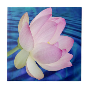 Empfindliche Lotos-Blume und -bedeutung Fliese
