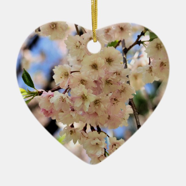 Empfindlicher Frühling blüht Blumen-Verzierung Keramikornament (Vorne)