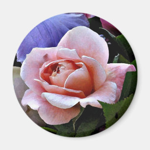 Empfindlicher Rosen-Magnet Magnet