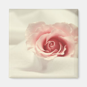 Empfindlicher Rosen-Magnet Magnet