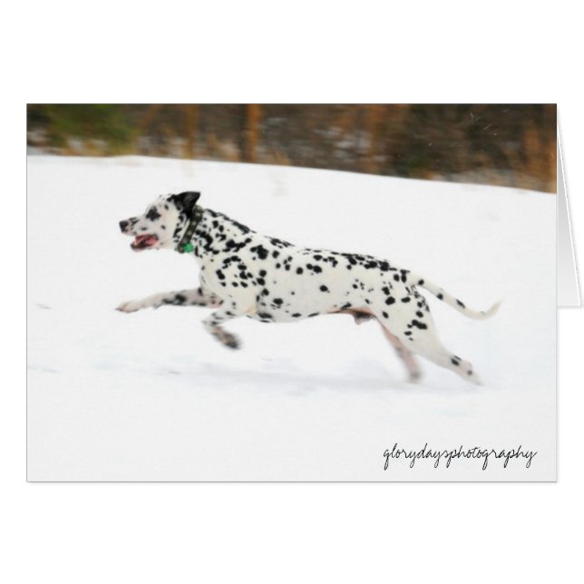 Emplacement (Devant horizontal)