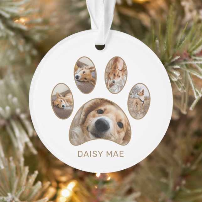 Empreinte de patte personnalisé Nom de l'animal de (Arbre)