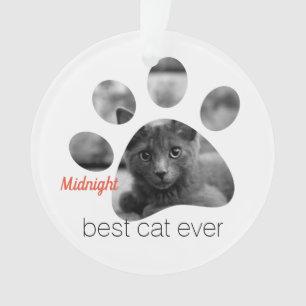 Empreinte photo personnalisée pour chats