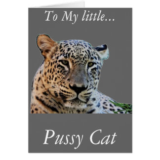 Empreintes de léopard