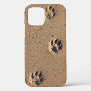Empreintes de pattes animaux en Coque de sable-coq