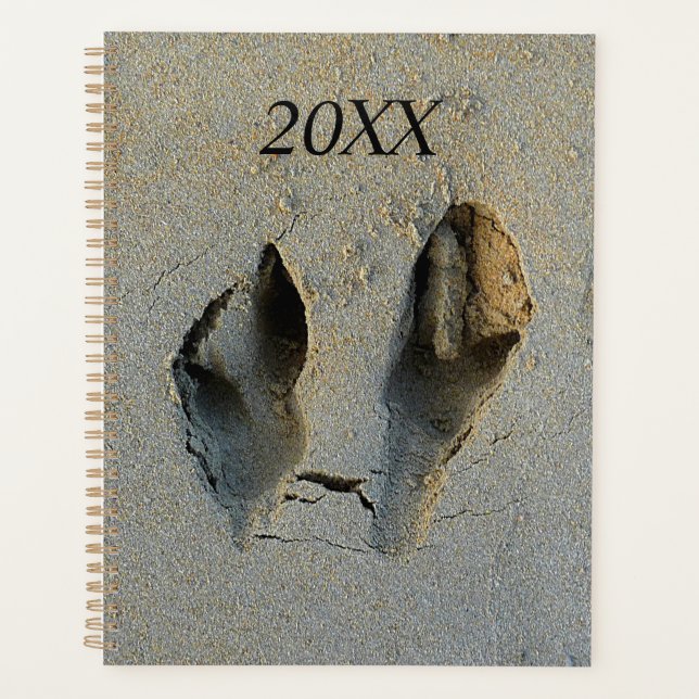 Empreintes Wallaby en sable (Devant)